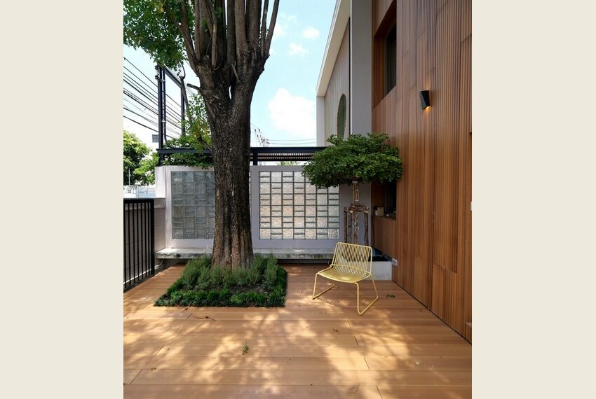 49038 Image-03