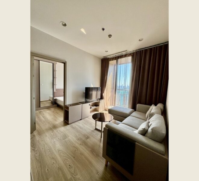 61465 Image-02