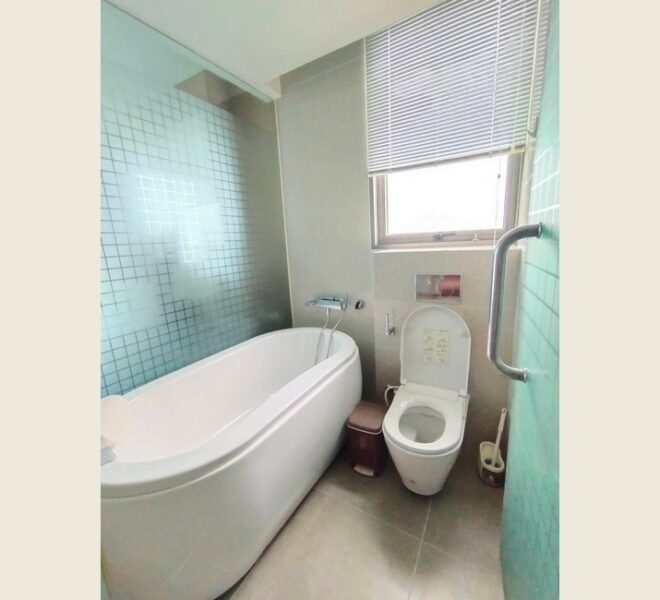 61662 Image-11