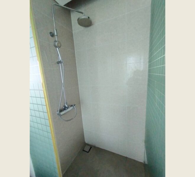 61662 Image-13