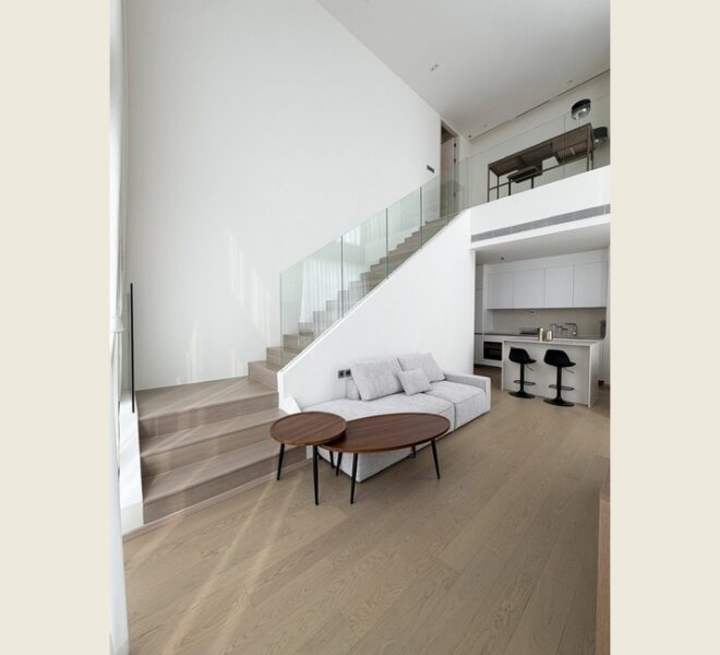 61966 Image-03