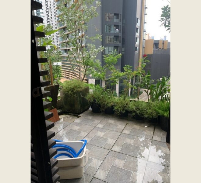 62154 Image-08