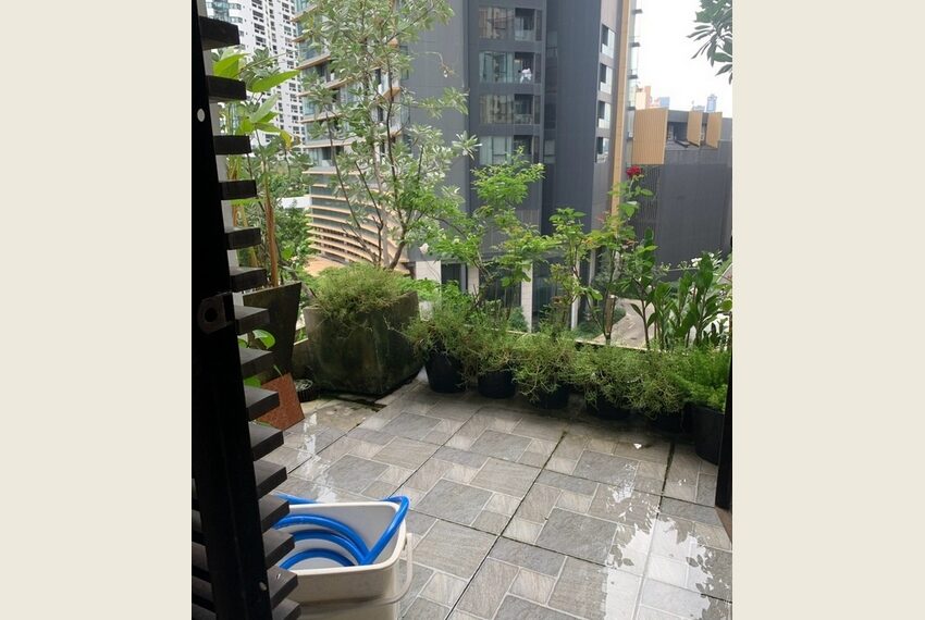 62154 Image-08