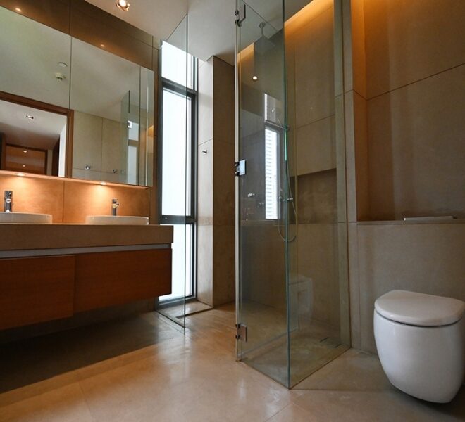 62241 Image-11